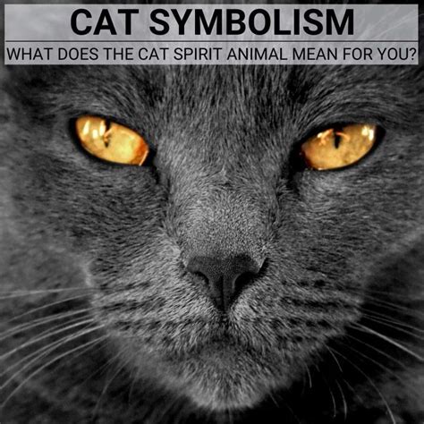 Methods for Deciphering Symbolism in Fantasies about Feline Demise