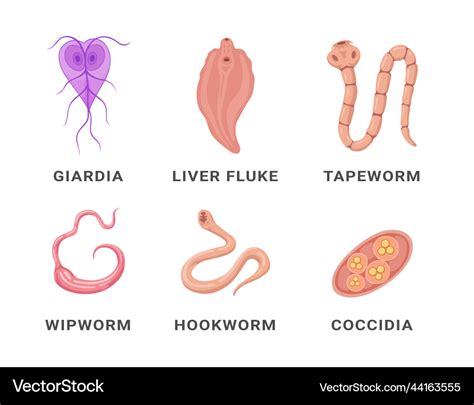 Methods of Analyzing and Decoding Dreams Involving Intestinal Parasites