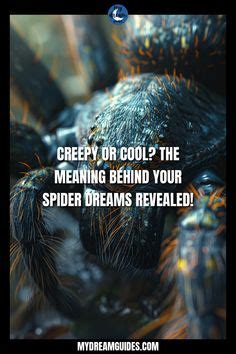 Methods of Dealing with Dreams About Being Overrun by Arachnids