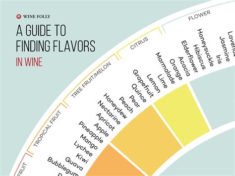 Movie Genres and Wine Flavors: Finding Your Perfect Match