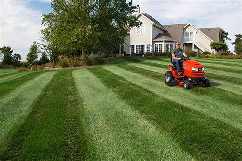 Mowing and Trimming: Techniques for a Well-Manicured Lawn