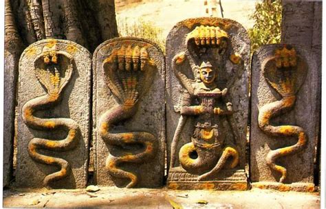 Mysterious Legend and Cultural Significance of the Enigmatic Serpent