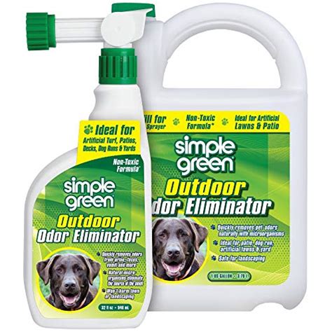 Natural Ways to Eliminate Odors Related to Canine Urine