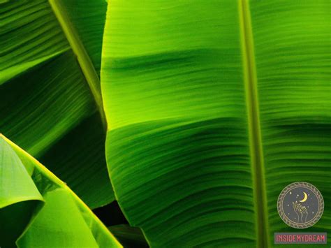 Nature's Bounty: Exploring the Symbolic Significance of Banana Leaves