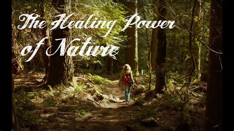 Nature's Healing Power: The Benefits of Treading on Foliage