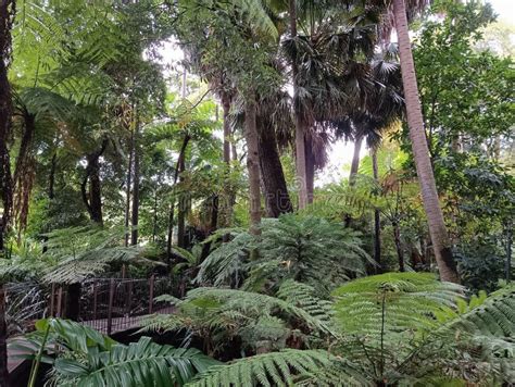 Nature's Playground: Discovering the Charms of the Natural Wonders Along the Journey