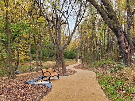 Nature's Sanctuary: Exploring the Restorative Energies of Forest Retreats