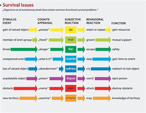 Navigating the Emotions and Reactions Associated with Visions of Impaired Vision