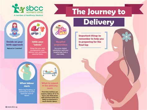 Navigating the Journey of Labor and Delivery