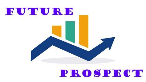 Net Worth Evaluation and Future Prospects