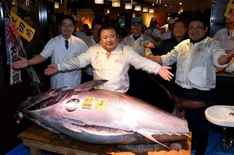 Net Worth and Earnings of Tuna Kimuratsu