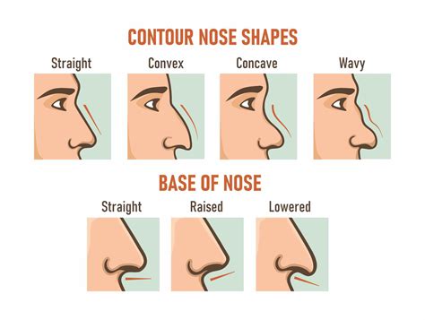 Nose Shape Matters: Analyzing the Various Significances in Dreams of Acquaintances' Nasal Structures