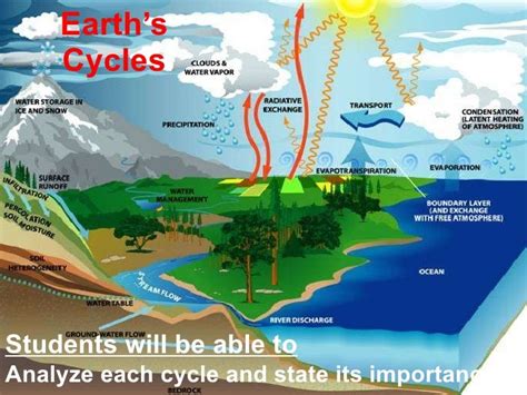 Number of years on Earth: How many cycles has Candice Nicole completed?