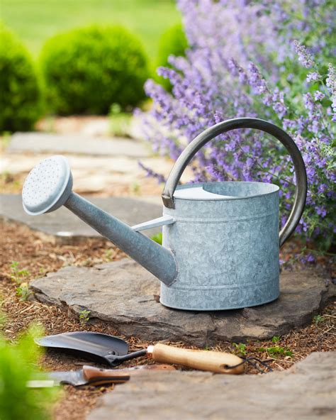 Nurturing Growth: Exploring the Meaning Behind Watering Cans