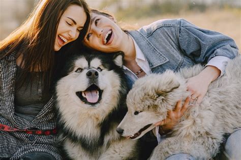 Nurturing a Bond with Your Furry Companion