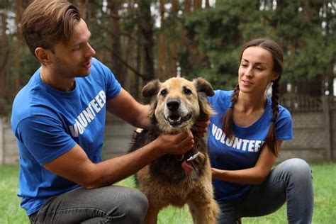 Nurturing a Love for Animals through Volunteer Work