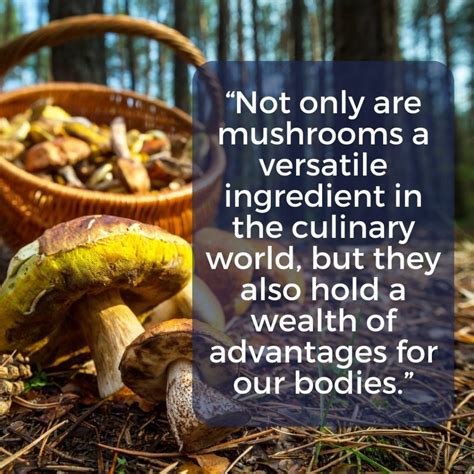 Nutritional Powerhouses: The Health Benefits of Including Mushrooms in Your Diet