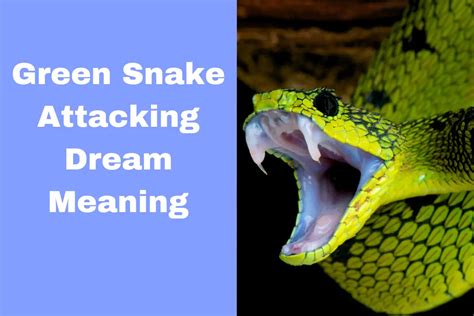 Overcoming Anxiety and Fear Related to Snake Attack Dreams: Guidelines