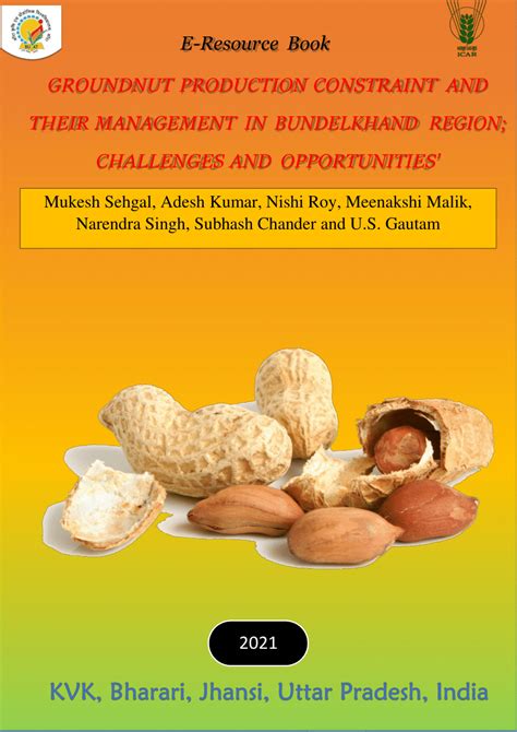 Overcoming Challenges in Groundnut Production and Distribution