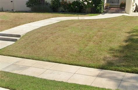 Overcoming Common Lawn Issues: Transforming a Lifeless Yard into a Vibrant Green Oasis