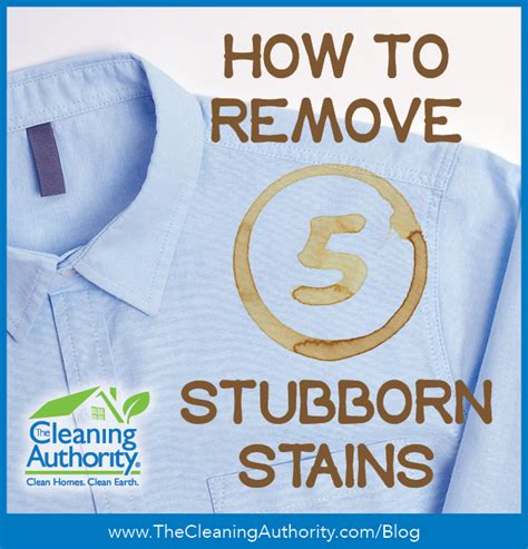 Overcoming Stubborn Stains: A Battle Won