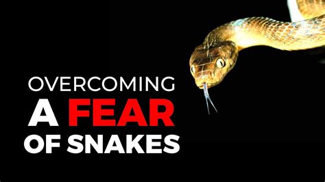 Overcoming Your Fear of Serpents: Effective Strategies for Facing Your Phobia