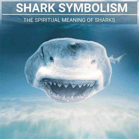 Overcoming the Negative Impact of Shark Dream Symbolism in Your Life