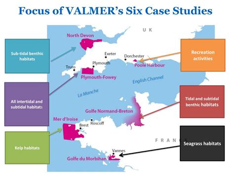 Overview of Victoria Valmer's Wealth