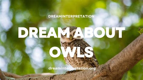 Owls as Guides in Dream Interpretation and Spirituality