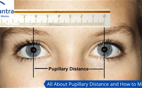 Pd Katy's Vital Statistics: Years on Earth, Vertical Measurement, Physical Appearance, and Financial Value