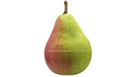 Pear perfection: expert advice on choosing and preserving this delightful fruit