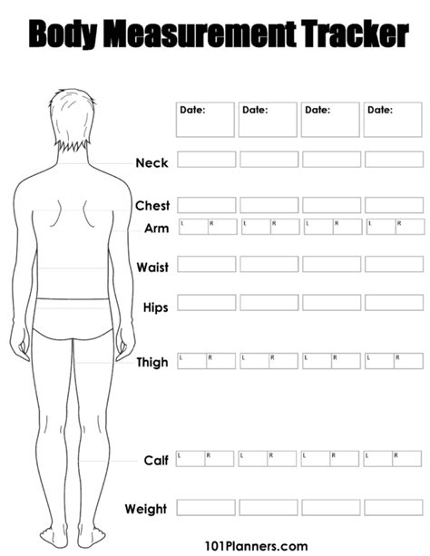 Personal Details: Age, Measurement, and Physique