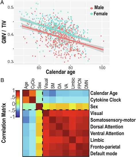 Personal Details: Chronological Age and Vertical Dimension