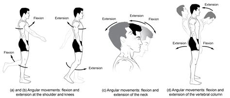 Personal Details: Years, Elevation, and Body Shape