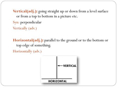 Personal Details - Years of Existence and Vertical Measurements