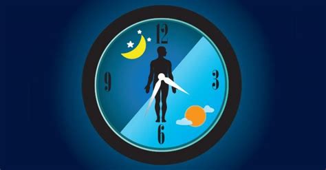 Personal Life and Biological Clock