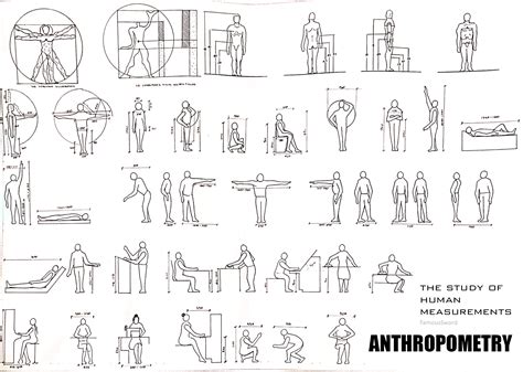 Physical Appearance, Elevation, and Figure Dimensions