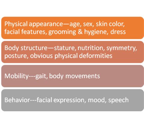 Physical Appearance: Body Structure and Measurements