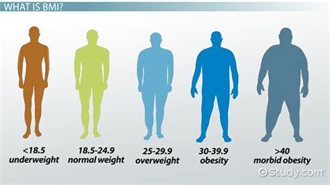 Physical Appearance: Stature, Mass, and Shape