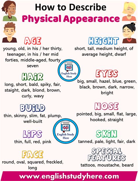 Physical Appearance and Figure Measurements