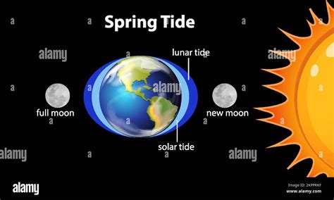 Physical Appearance of Cherry Tides