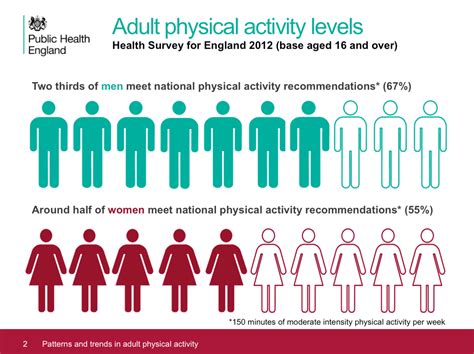 Physical Attributes: Body Stats and Fitness Level