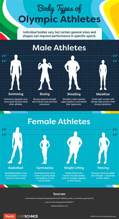 Physical Attributes: Elevation and Body Shape of the Remarkable Athlete