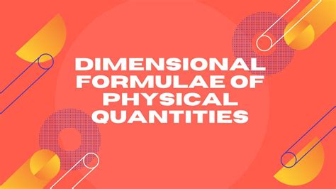 Physical Attributes - Dimensional Statistics Unveiled