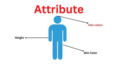 Physical Attributes and Public Image