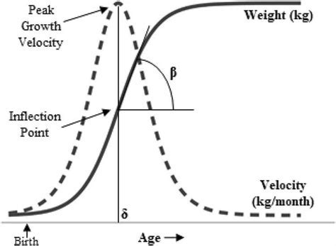 Physical Attributes of Adaire E Aire