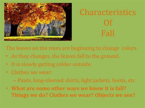 Physical Attributes of Autumn Summers