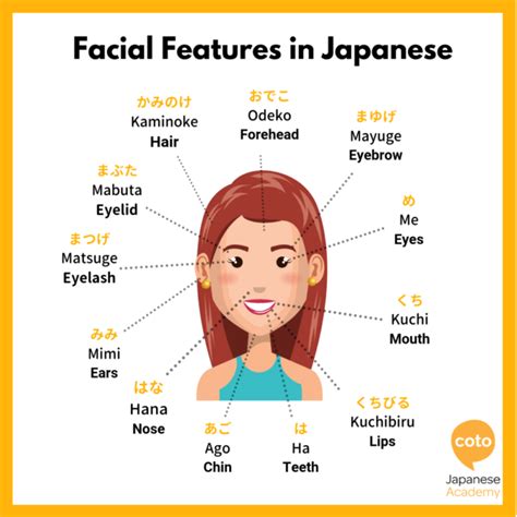 Physical Attributes of the Japanese Sensation