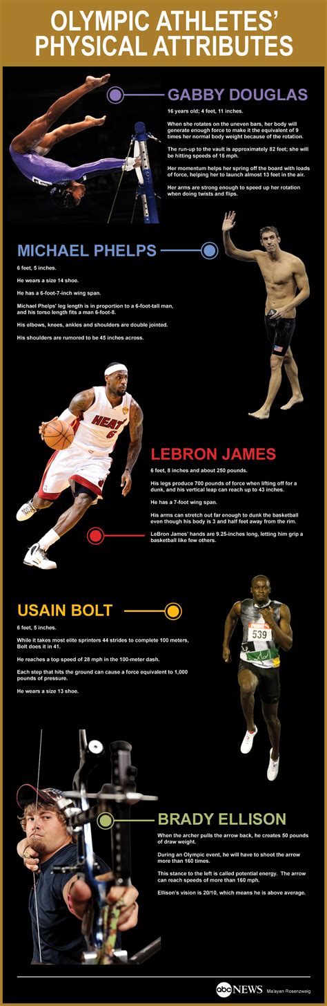 Physical Attributes of the Talented Athlete