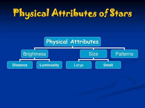 Physical Attributes of the Talented Star